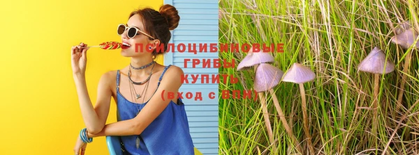 прущие грибы Нязепетровск