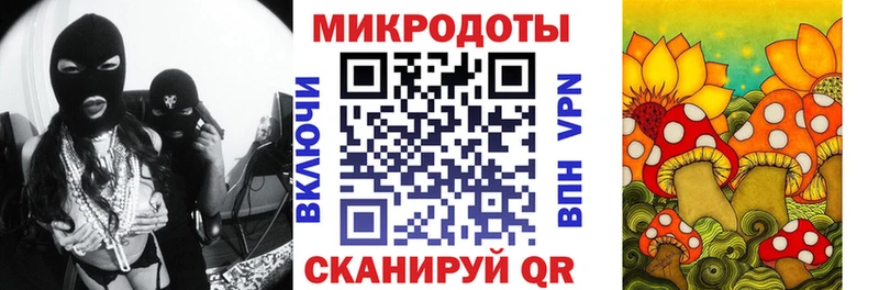 маркетплейс клад  Жуковка  Галлюциногенные грибы Psilocybine cubensis 
