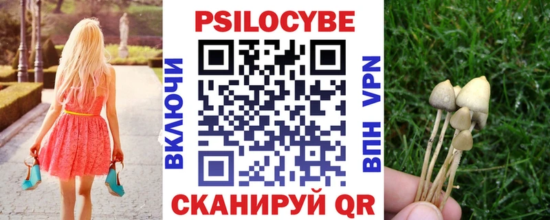 Псилоцибиновые грибы GOLDEN TEACHER Жуковка