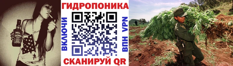 Канабис гибрид  omg как зайти  Жуковка 